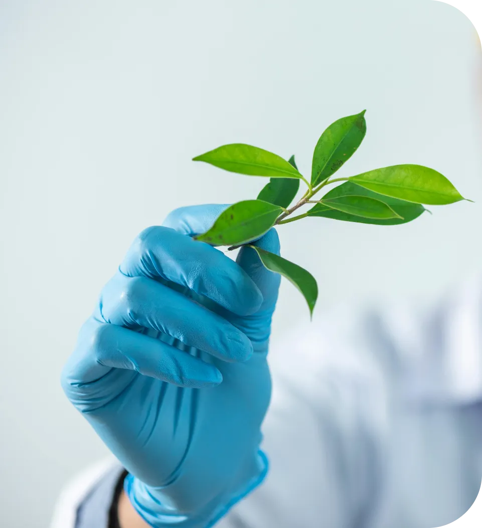 pexels-chokniti-khon